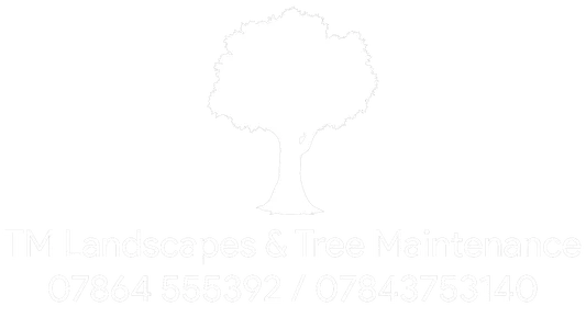 TM Landscapes
